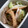 にじきらら's cooksnap of when they made もやしときゅうりの胡麻酢あえ.