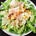 ＹＯＵ太's cooksnap of when they made チョップドサラダ(塩麹ドレッシング).
