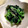 クックR9KY7S☆'s cooksnap of when they made ほうれん草のごま和え.