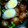 nao-u's cooksnap of when they made うずらの肉巻き.
