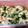 ななすけさぶろう's cooksnap of when they made 鶏ささみと叩ききゅうりの簡単和え.
