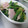 なおﾎﾟﾑ's cooksnap of when they made お弁当にも！ほうれん草とハムのごま和え.