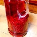 ひよしゃぶ's cooksnap of when they made 美味しい果実酒の割合.