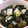 低カロ探検隊's cooksnap of when they made わかめと白菜の旨塩スープ.