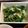 xMARILYNx's cooksnap of when they made 青菜のにんにく炒め.
