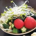 ﾁｮｺﾁｯﾌﾟ☆'s cooksnap of when they made ぱらっと黒豆サラダ.