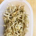 はなちャん's cooksnap of when they made 美味！ゆず胡椒香るニラともやしのナムル.
