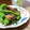 ダイナマイト漆黒's cooksnap of when they made シシトウとカツオの和え物.