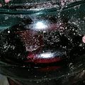クック2720QN☆'s cooksnap of when they made 自家製紅しょうが.