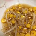 シャムちゃんと一緒's cooksnap of when they made モヤシとコーンの柚子胡椒サラダ.