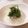 なーなちゃん's cooksnap of when they made 超簡単♪しらすおろし大葉のっけ♪.