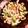 mo5562's cooksnap of when they made 簡単なのに激ウマ！豚キムチきゅうり入り.