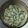 クックひで's cooksnap of when they made ～簡単〜きゅうりサラダ.