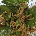 となりのあゆきち's cooksnap of when they made 万願寺とうがらしとじゃこのおばんざい。.