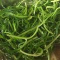 クック9HQHPP☆'s cooksnap of when they made ☼しゃっきり♪おかひじきの辛子醤油和え.