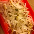 サリさんの台所's cooksnap of when they made イタリアン・ナムル.
