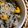 saalalan's cooksnap of when they made ひじきの炊き込みご飯(離乳食).