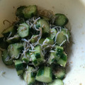 momoazeru's cooksnap of when they made 簡単！きゅうりとジャコの和え物.