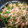 Rii3na's cooksnap of when they made 豚肉とモヤシのオイスター炒め.
