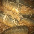てるみお母ちゃん's cooksnap of when they made さんまのケチャップ煮.