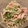 PARNELL's cooksnap of when they made 簡単☆大根と魚ニソのゴママヨサラダ.