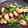 Hanachan13's cooksnap of when they made 簡単★鶏もも肉とししとうの照り焼き.