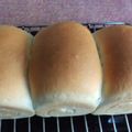 ドミンゲス's cooksnap of when they made テクいらず、究極の山型食パン.