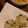 Cafe たまぞう's cooksnap of when they made 簡単！！鮭とかぶの葉の混ぜご飯.