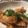 すーころん's cooksnap of when they made パパっと♪ささみの照り焼き☆.