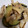 クックZVL9NR☆'s cooksnap of when they made 金のごまだれだけ！豚と野菜の炒めもの.