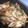 カナ（ミーナ）'s cooksnap of when they made ❦大葉香る。大根とちくわの味噌炒め❦.