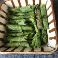 おおミー's cooksnap of when they made 祖母のきゅうりのしそ巻き♡ご飯のお供に.