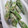 kotohime00's cooksnap of when they made 朝食に♡簡単オクラのマヨかつお節和え.