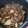 キングストロベリー☆'s cooksnap of when they made 短時間で味染み◎豚バラ大根の甘辛煮.