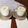 クックHG9V8Y☆'s cooksnap of when they made キウィとバナナのスムージー.