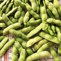 よっこ930's cooksnap of when they made 枝豆の美味しいゆで方.