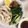 クックR3JARR☆'s cooksnap of when they made レンジで簡単！しっとり♡胸肉の蒸し鶏.
