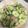 ぷちぷー's cooksnap of when they made きゅうりとベーコン炒め.