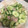 ぷちぷー's cooksnap of when they made きゅうりとベーコン炒め.