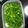 hozunyam's cooksnap of when they made 刻みネギの保存方法.