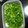 hozunyam's cooksnap of when they made 刻みネギの保存方法.