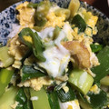 ちゃぎー's cooksnap of when they made 簡単！ネギ卵丼.