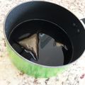 テレタビラーラ's cooksnap of when they made ちょっと甘めの手作りめんつゆ　濃縮タイプ.