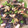 クックIBSSX3☆'s cooksnap of when they made 簡単！ナスとベーコンの旨煮.