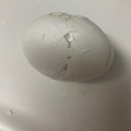 yuchinori's cooksnap of when they made つるんっとむける！ゆで卵の殻むき.