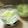 クック45CPP4☆'s cooksnap of when they made 簡単！二層メロンゼリー.