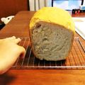 クックABDFZT☆'s cooksnap of when they made HBで。全粒粉入りのふんわりパン.