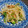 トン太郎's cooksnap of when they made もやしときゅうりの韓国風.