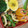 2児ママみきてぃ's cooksnap of when they made いんげんとしめじのしょうゆバター♪.