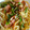 yutan1122's cooksnap of when they made しめじとハムの和風パスタ.